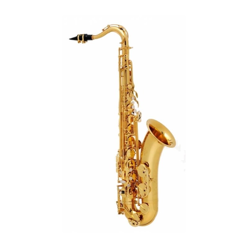 saxo buffet serie 100