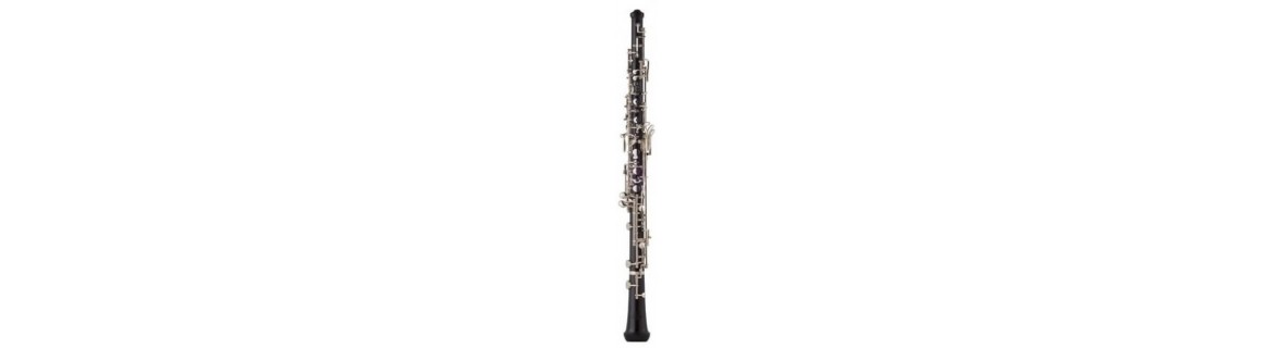 En nuestra tienda Online puedes comprar tu Oboe al mejor precio